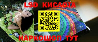 стаф Будённовск